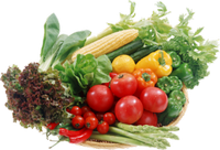 a platter of garden vegetables